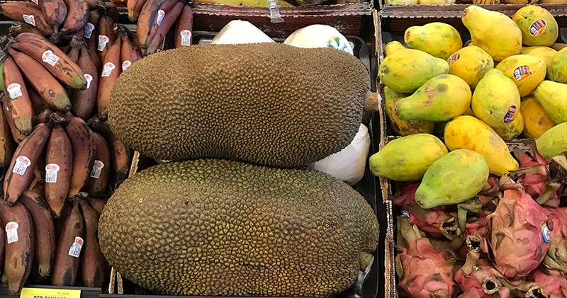 Jackfruit