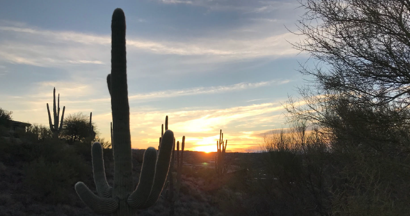 Arizona