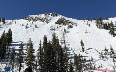 Testicular Concoction